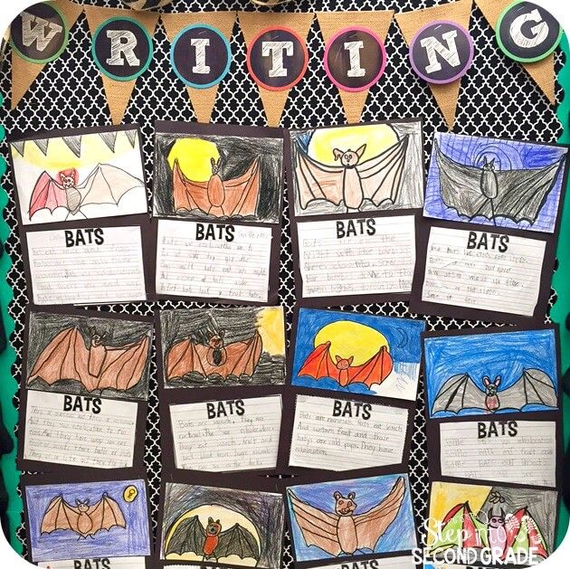 a bulletin board with different types of bats on it and writing in the middle, along with words that spell out bat's