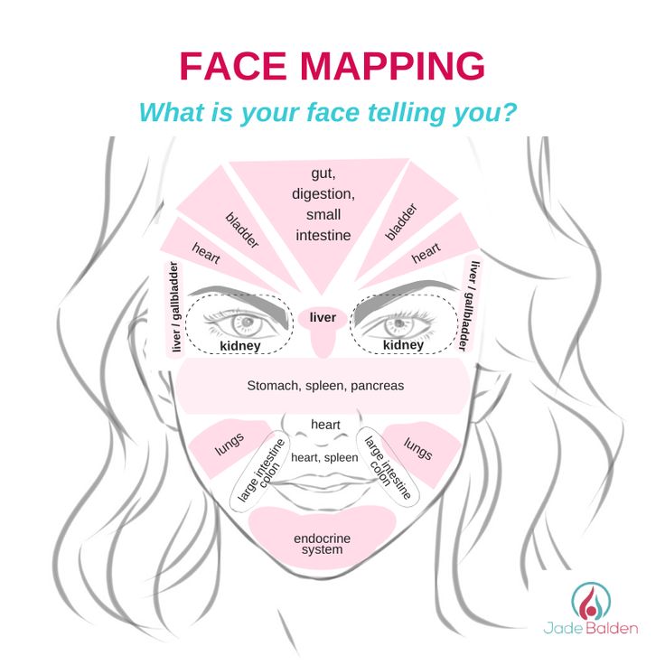 Face Mapping: What is your face telling you? | Jade Balden Face Diagram, Face Map, Faith Stories, Spa Recipes, Facial Anatomy, Face Mapping, Body Map, Dry Itchy Skin, Heart And Lungs