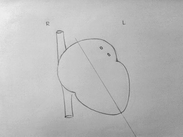 a pencil drawing of a cartoon character with the letter l on it's back