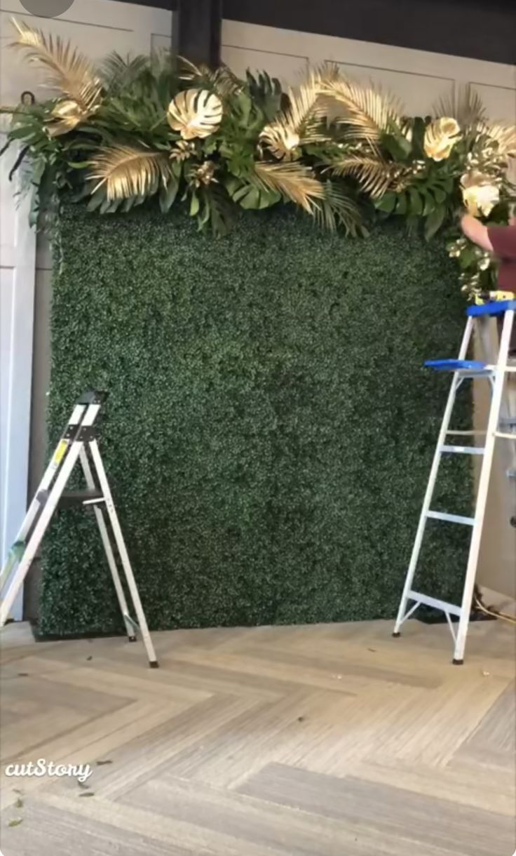 a man standing on top of a ladder next to a green wall covered in plants