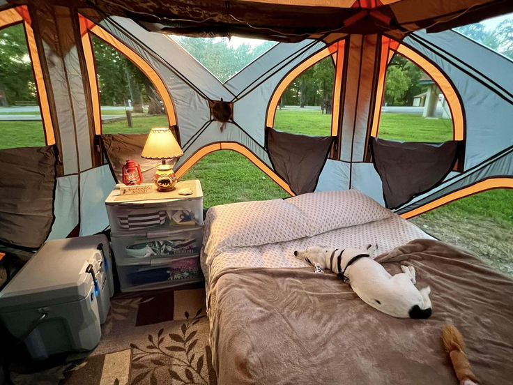 a bed in a tent with an animal on it