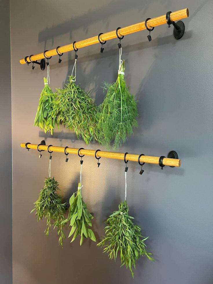 some plants are hanging on the wall with hooks and pegs to hold them in place