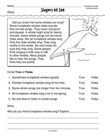 the dolphins song worksheet