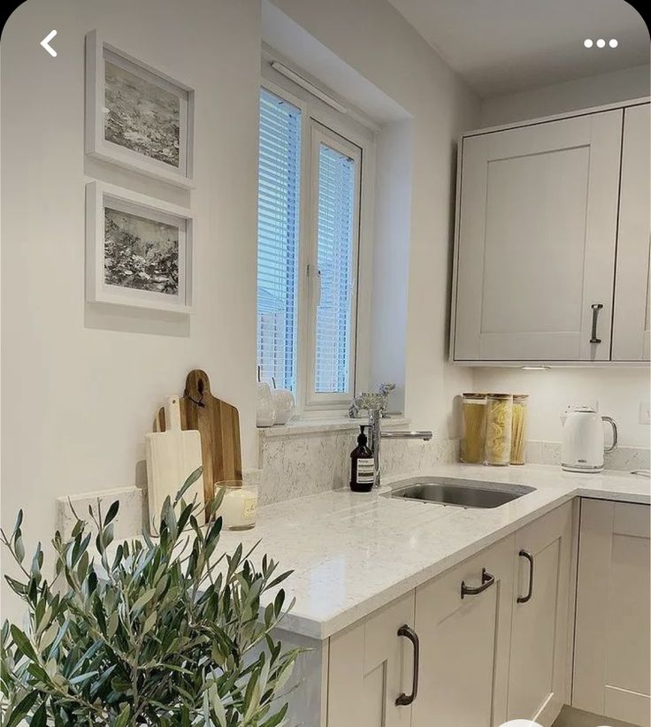 a kitchen with white cabinets and marble counter tops next to a potted plant in front of the sink