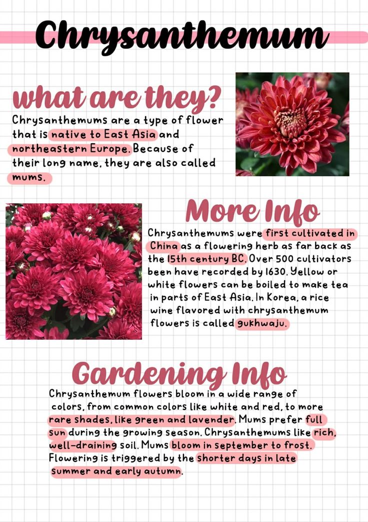 the different types of flowers and their names