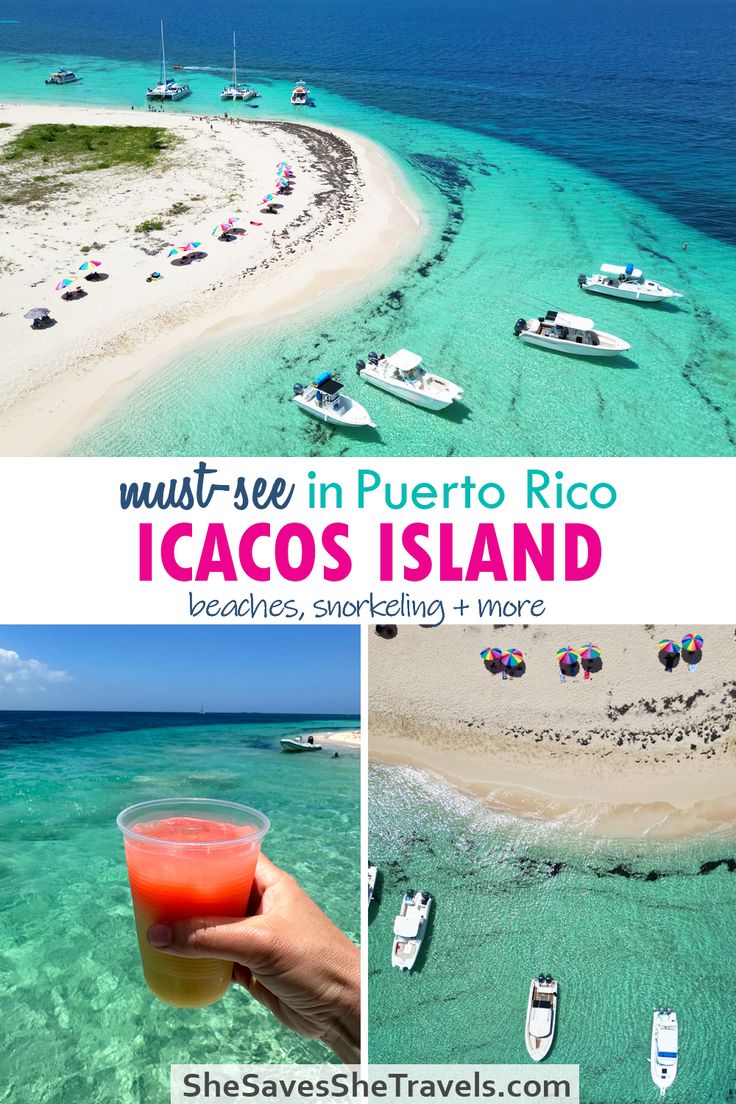 a person holding up a drink in front of the ocean and boats on the beach