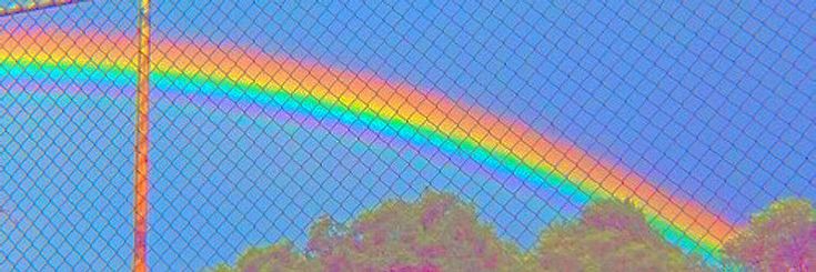 a rainbow seen through a mesh fence with trees in the foreground and blue sky