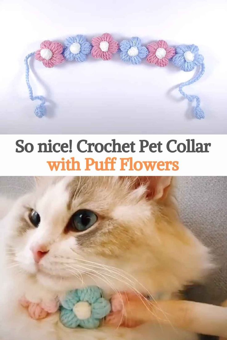 a cat is wearing a crochet pet collar with puff flowers