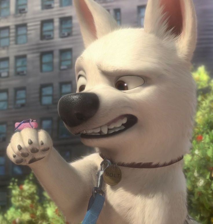 the secret life of pets is shown in this animated scene from disney's animation movie