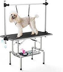 a white dog standing on top of a table with a leash attached to it's neck