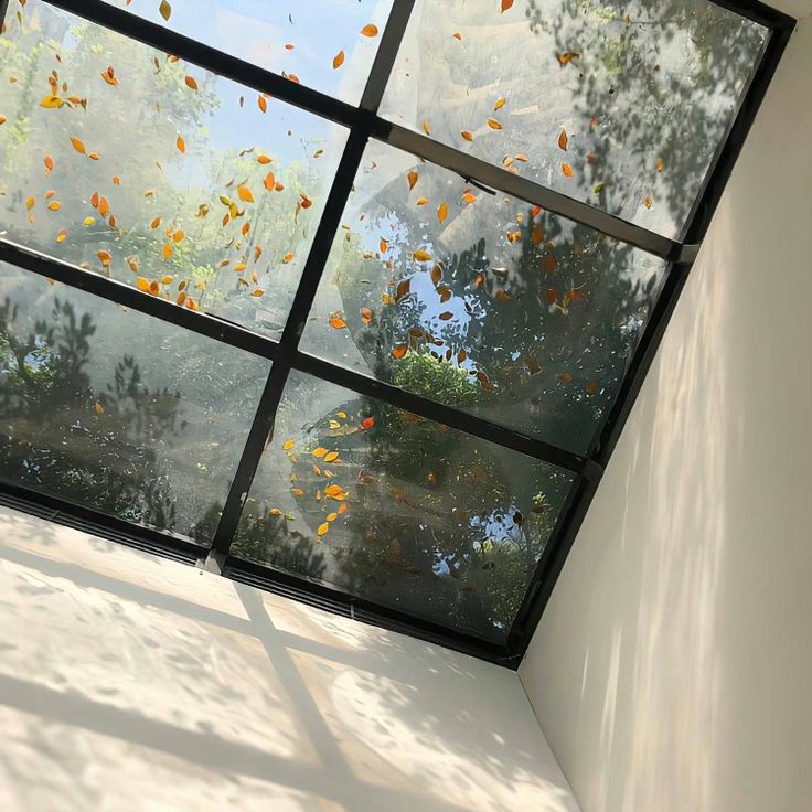 an open window with lots of leaves flying in the air and trees reflected in it