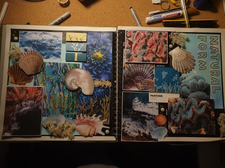 an open book with pictures of sea animals and seashells on the pages in it