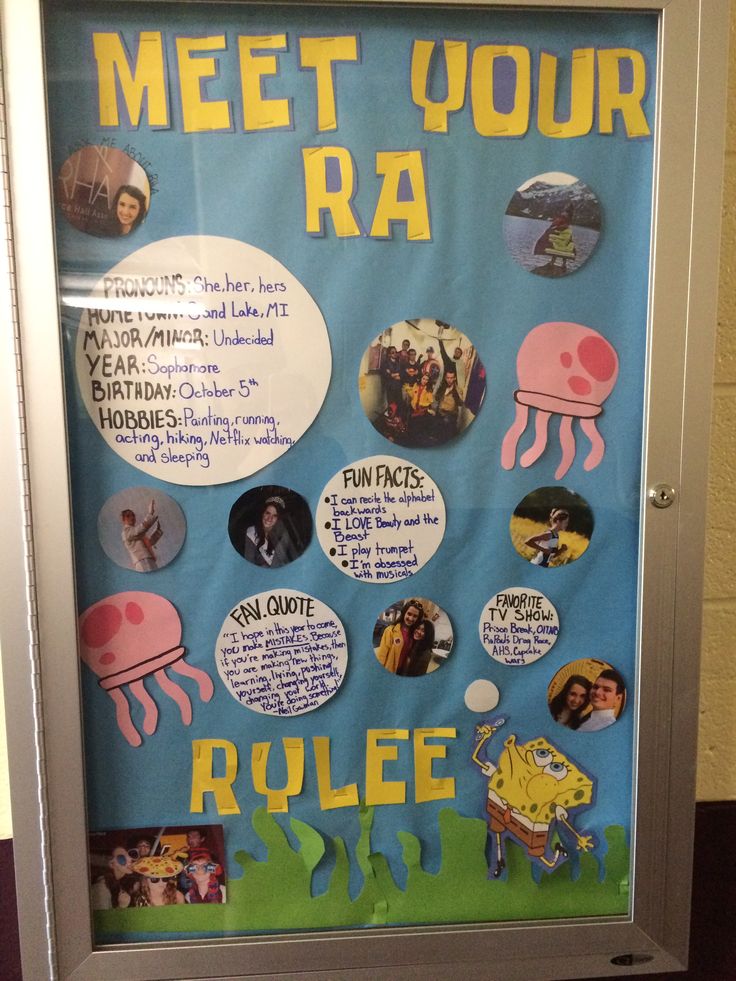 a bulletin board with pictures of people and animals on it that says meet your ra rules