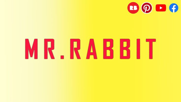 Mr.Rabbit