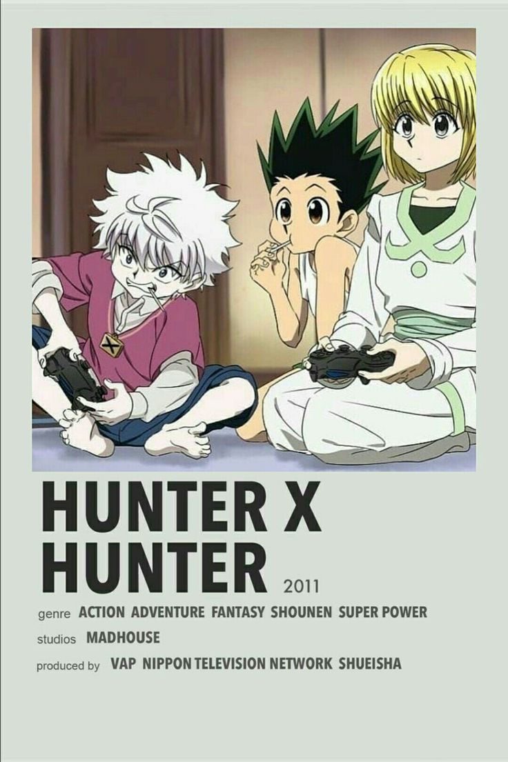 the poster for hunter x hunter