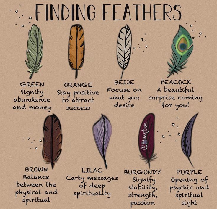 Weather Magick, Feather Color Meaning, Mythology Creatures, Finding Feathers, Feather Meaning, Witch Things, Animal Spirit Guides, Wiccan Magic, Unique Meaning