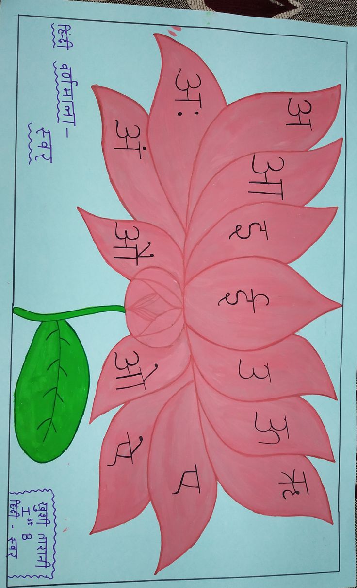 a drawing of a pink flower with chinese characters on it's petals and leaves