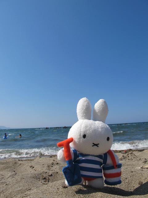 a stuffed animal rabbit sitting on top of a sandy beach