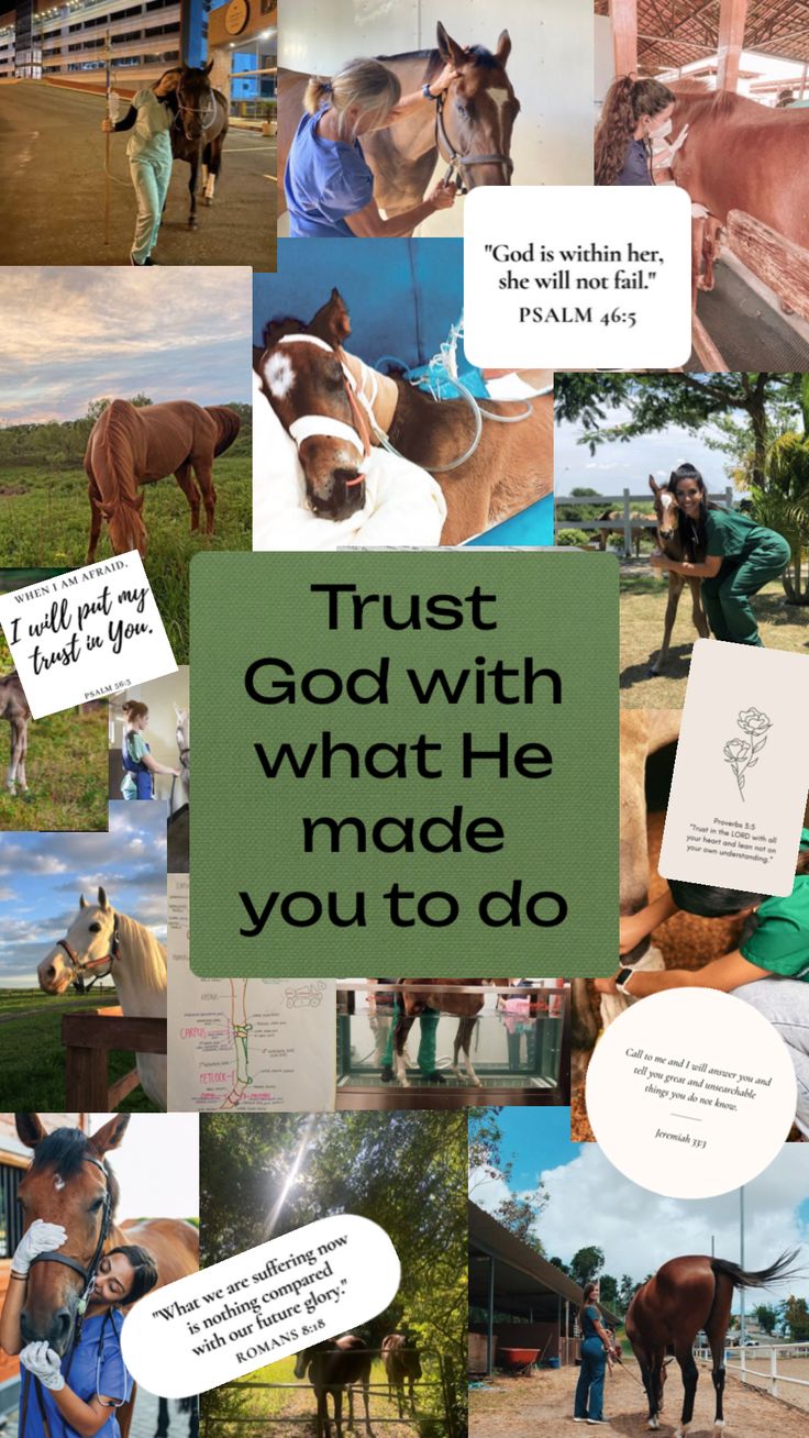 a collage of photos with horses and text that says trust god with what he made you to do