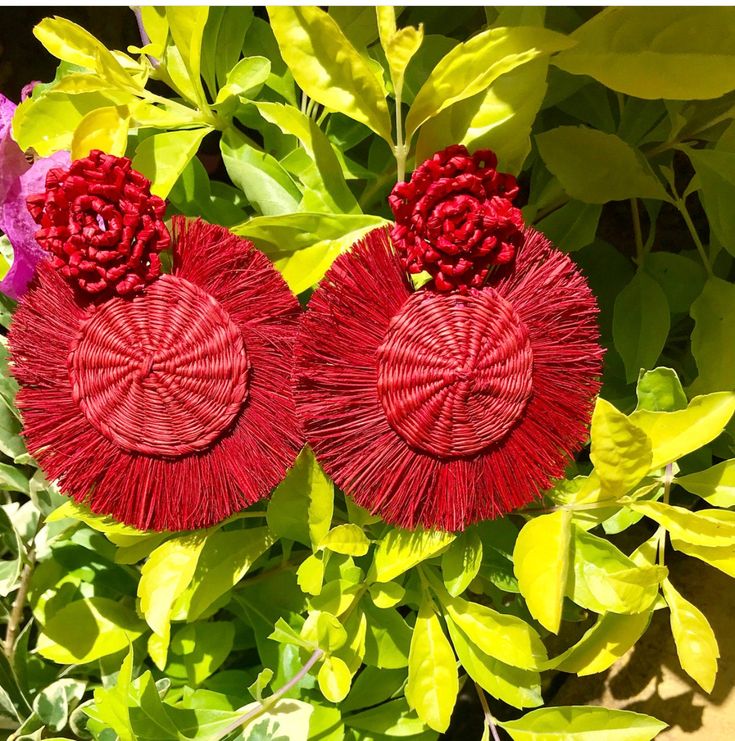 pair of red earrings with flowers on top of green leaves in front of purple and pink flowers