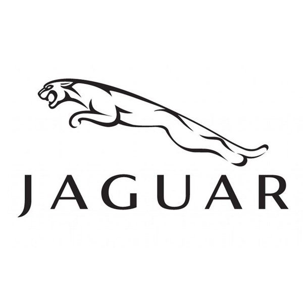 the jaguar logo is shown in black and white