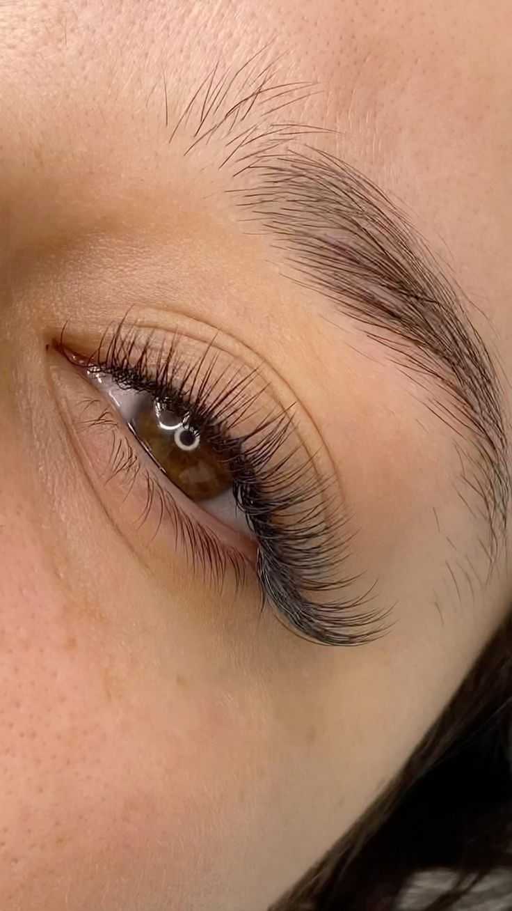 D Curl Lash Extensions Classic, Lash Extensions Classic Set, Classic Half Set Lash Extensions, Classic Cateye Lashes, Classic Wet Lash Extensions, Classic Eyelash Extensions Styles, Classic Set Lashes, Classic Set Eyelash Extensions, Classic Lash Extensions Styles