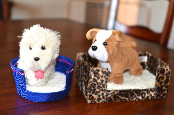 two small dogs are sitting in their beds on the wooden table, one is white and the other is brown