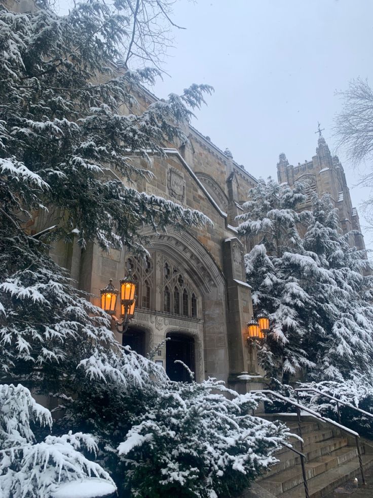 Snow, University of Michigan Law Quad U Of M Aesthetic, American University Aesthetic, Michigan Law School, Michigan College Aesthetic, Michigan University Aesthetic, Umich Campus, University Of Michigan Law School, U Of Michigan, U Michigan Aesthetic