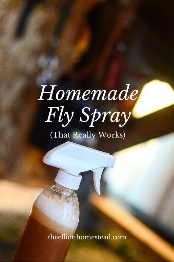 a close up of a spray bottle with the words homemade fly spray that really works