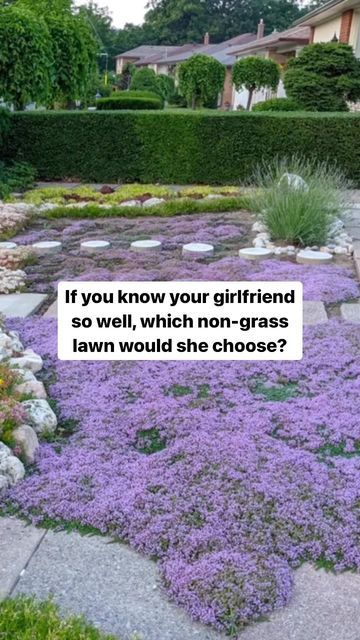 purple flowers are growing in the middle of a stone path with a quote on it that reads, if you know your girlfriend so well, which non - grass lawn would she choose?