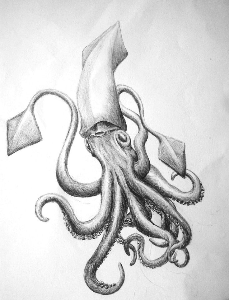 an octopus with a boat on it's back is shown in this pencil drawing