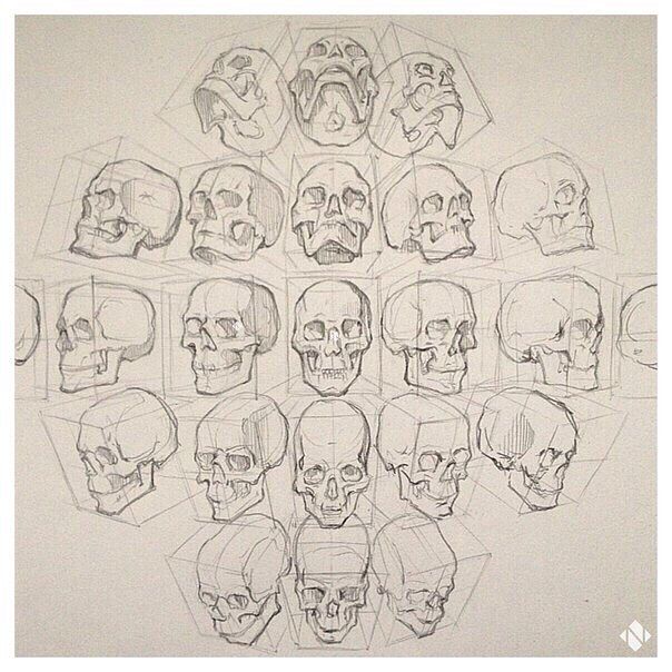 a bunch of skulls that are drawn in pencil on paper with different shapes and sizes