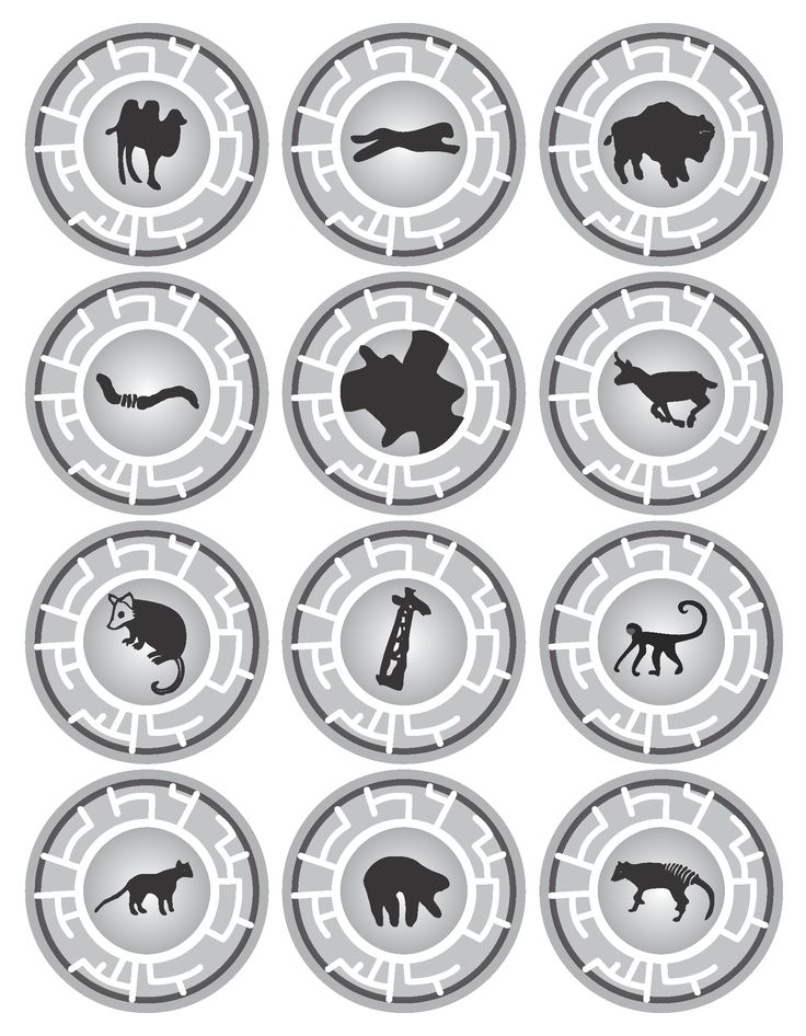 six circular images with different animals in them