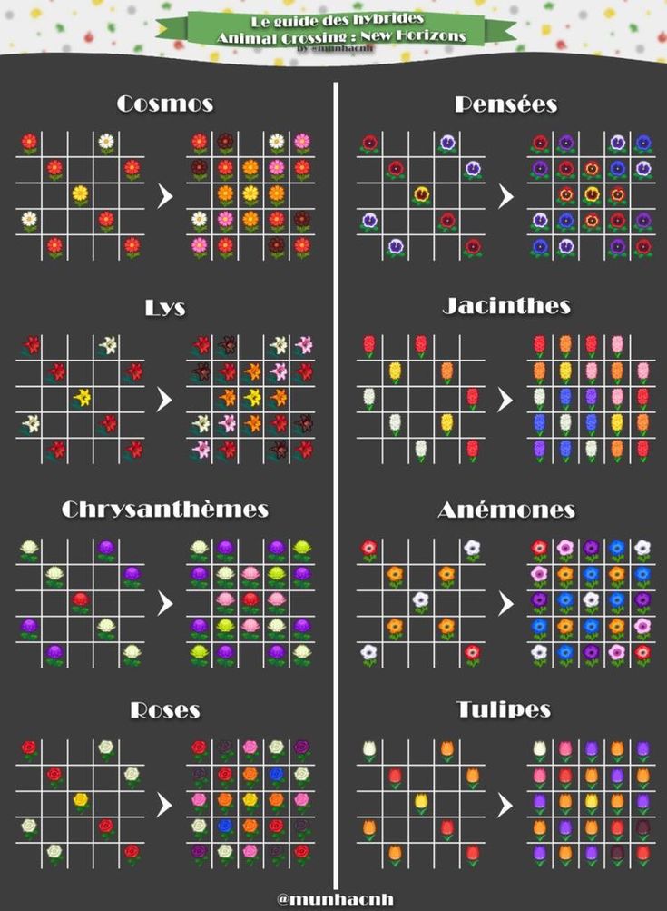 an info sheet showing the different types of christmas decorations