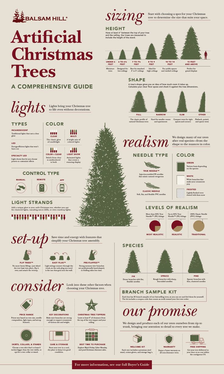 the christmas tree info sheet is shown in red and green, with different types of trees