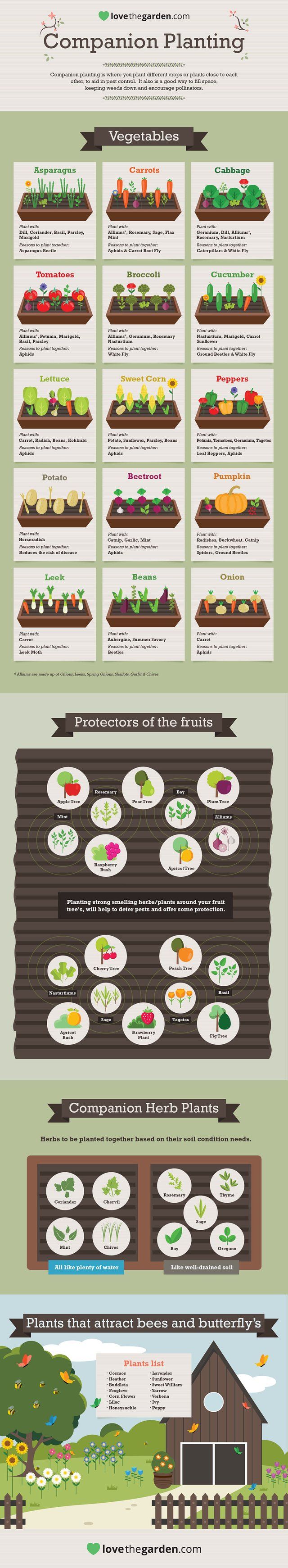 an info sheet showing the different types of food in each section of the menu, and what they mean to be