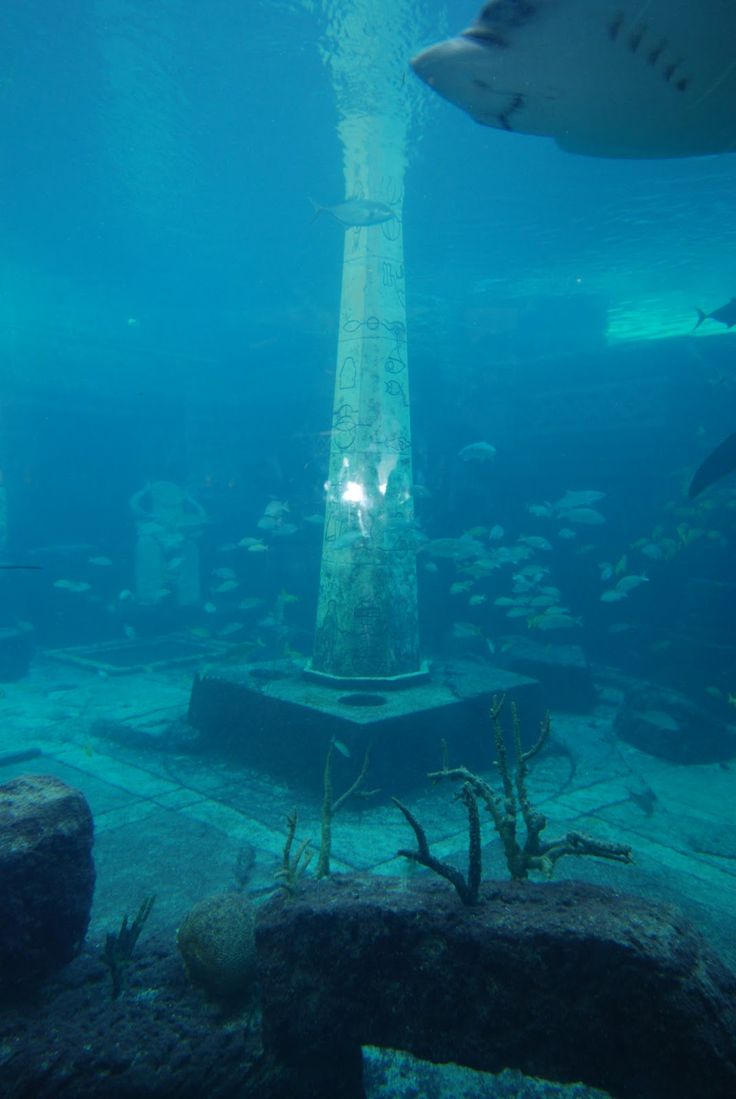 an underwater view of a light tower surrounded by fish and other marine life in the ocean