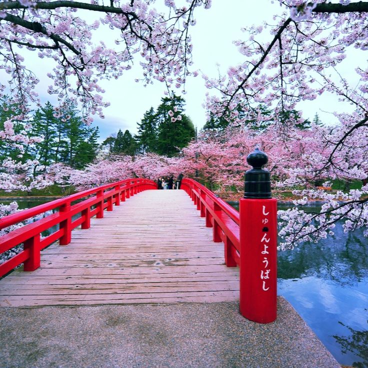 a red bridge over water with pink flowers on it