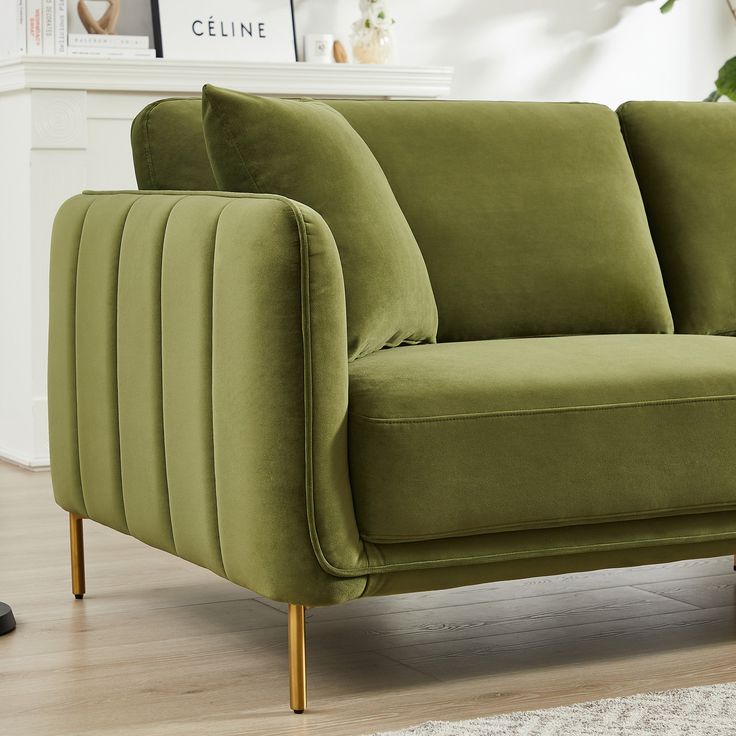 a green couch sitting on top of a hard wood floor next to a plant in a living room