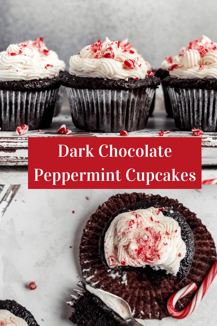 chocolate peppermint cupcakes with white frosting on top