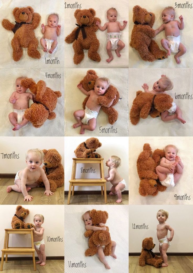 there are many pictures of babys with teddy bears on them and one is holding a stuffed bear