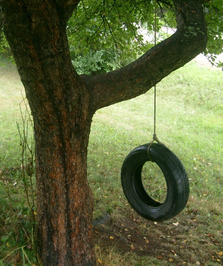 a tire swing hanging from a tree in the grass