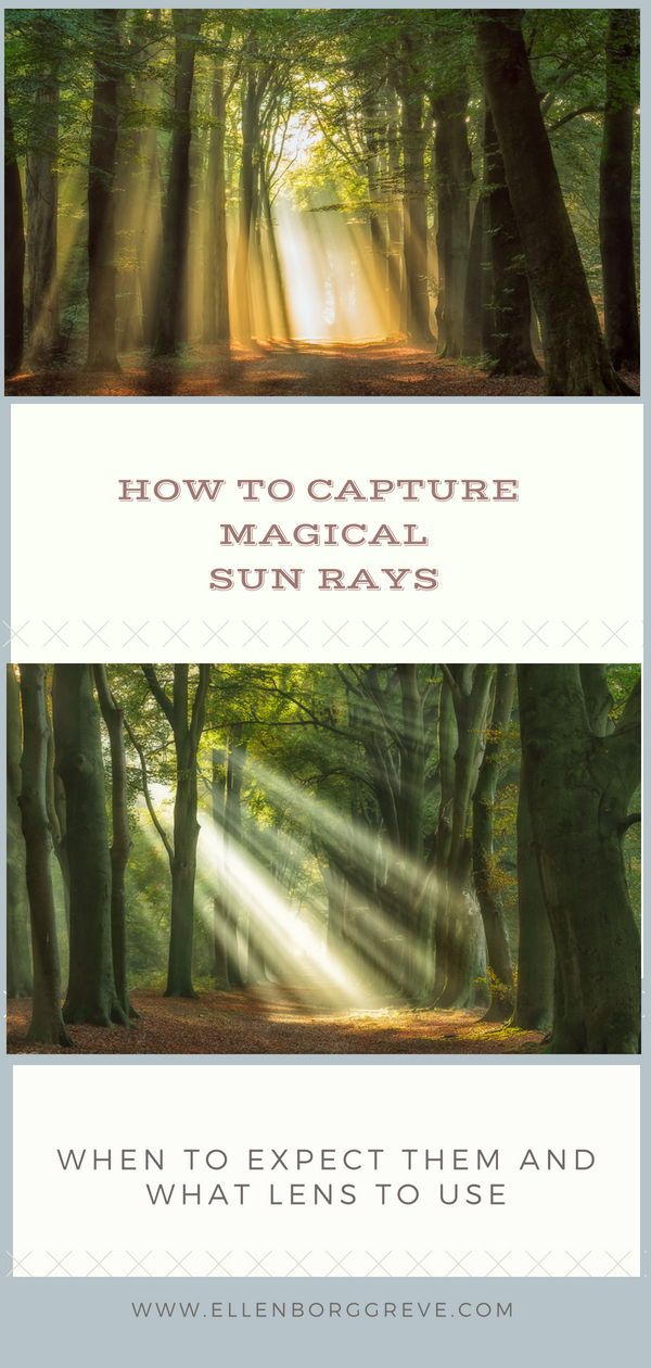 the sun rays shine through trees and into the woods, with text overlaying how to