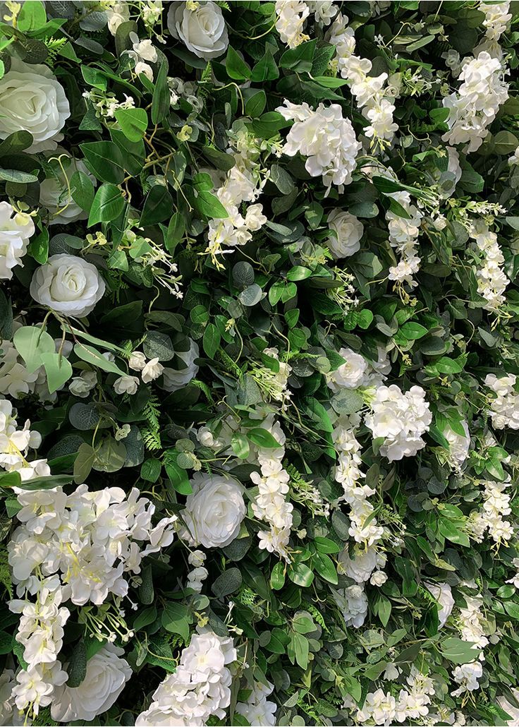 white flowers and green leaves are growing on the wall