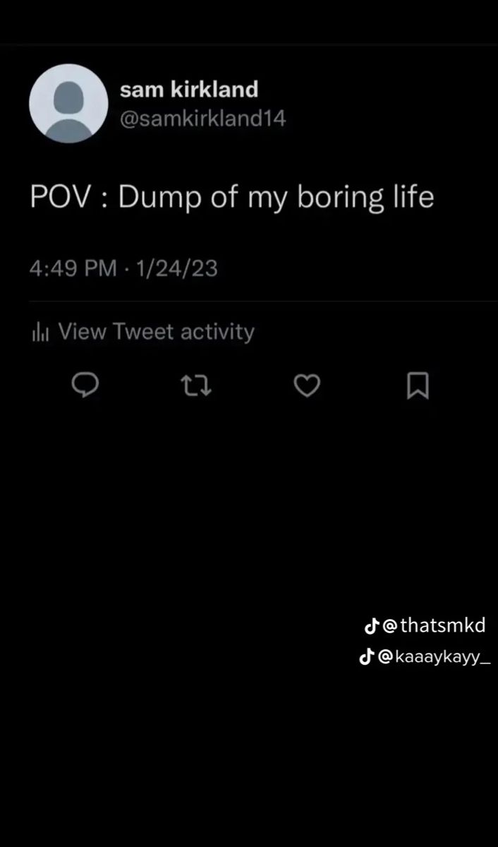 an iphone screen with the text'pov dump of my boring life'on it