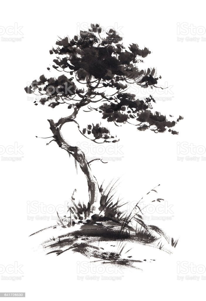 a black and white drawing of a tree on a hill with grass in the foreground