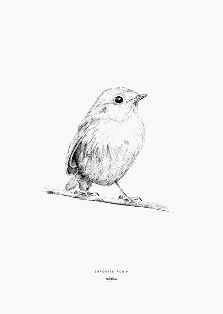 a black and white drawing of a bird on a branch