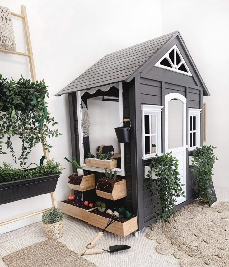 a garden shed with plants in it and some potted plants on the floor next to it