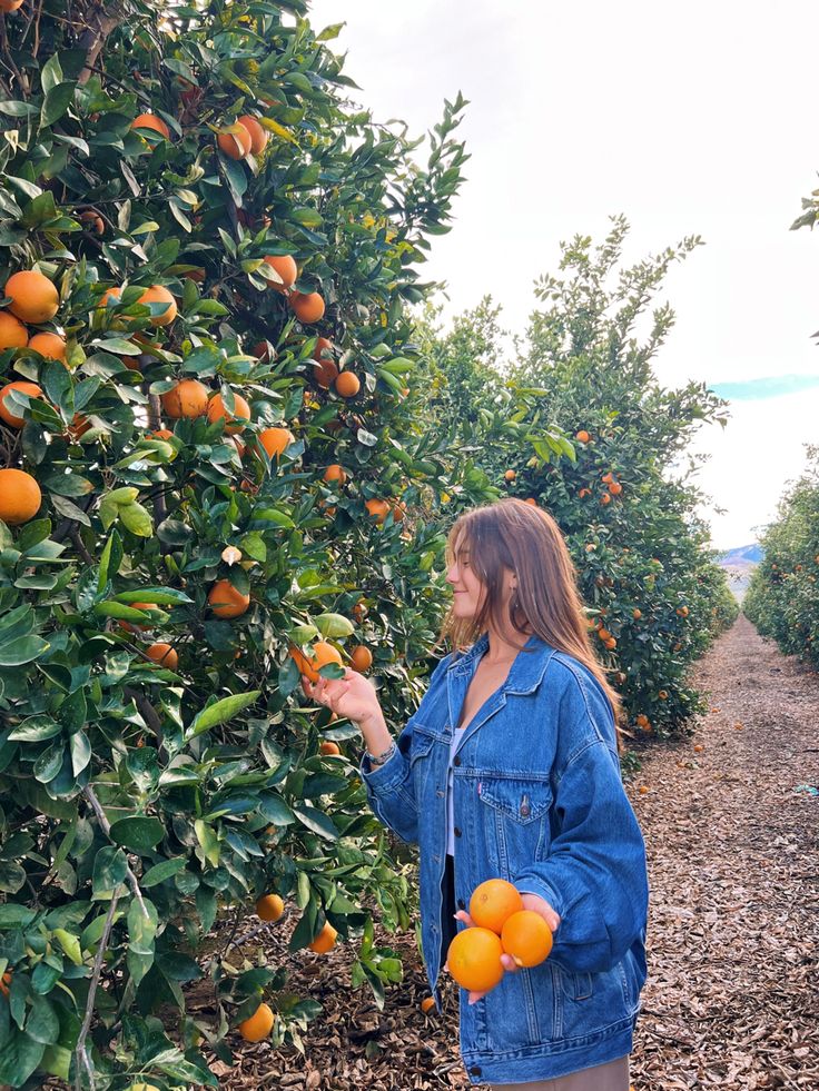 orange grove Citrus Farm Photoshoot, Orange Orchard Aesthetic, Orange Orchard Photoshoot, Orange Picking Aesthetic, Orange Farm Aesthetic, Fruit Picking Photoshoot, Orange Grove Photoshoot, Fruit Picking Aesthetic, Apple Orchard Aesthetic