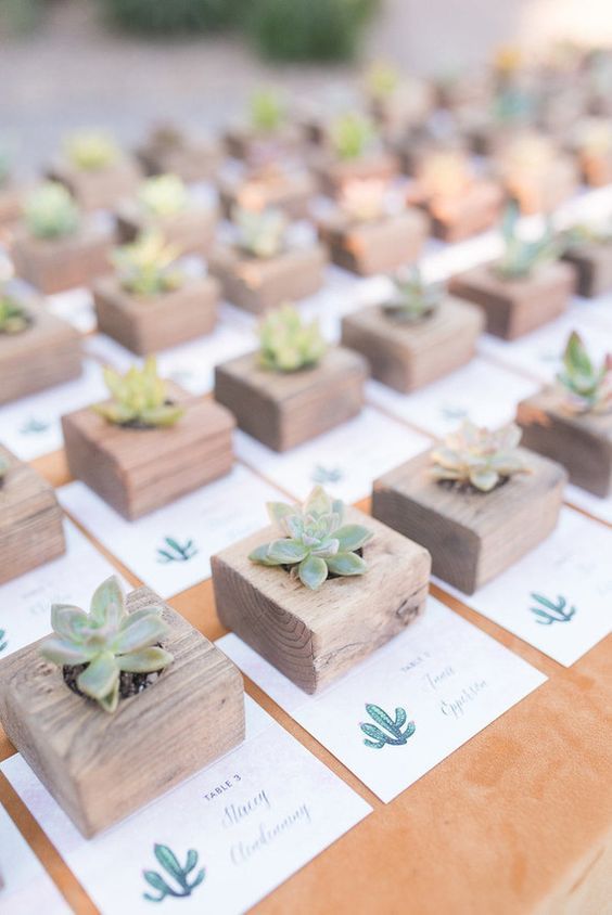 small succulents are placed in wooden blocks on a table with place cards